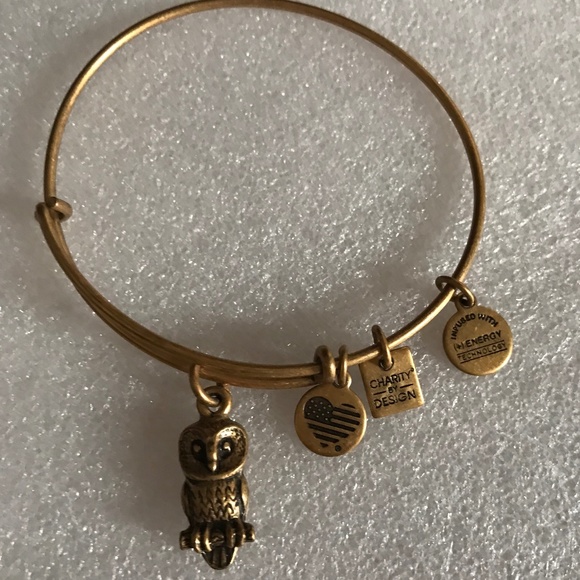 Alex and Ani Expandable Wire Bracelet - Picture 2 of 7